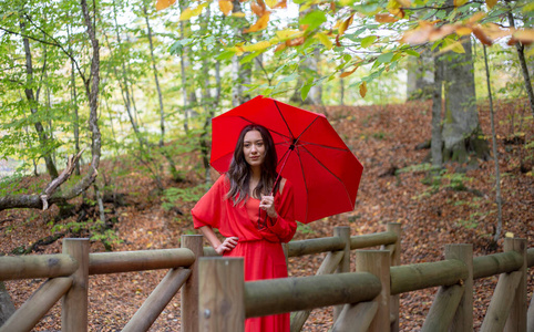 自由 美女 魅力 白种人 女孩 森林 自然 头发 自由的