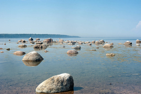 波罗的海 旅行 太阳 爱沙尼亚 风景 地平线 旅游业 自然