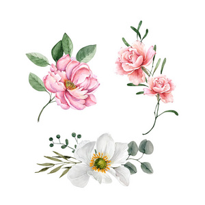 婚礼 粉红色 玫瑰 花束 水彩 植物 美丽的 春天 打印