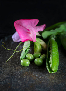 豆荚 花瓣 英语 食物 素食主义者 蔬菜 自然 植物区系