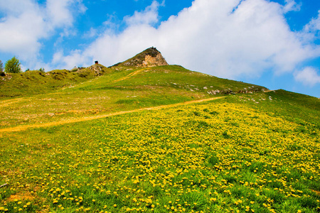 欧洲 美女 季节 山谷 自然 美丽的 登山 天空 全景 农场