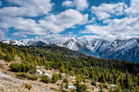 天气 绿色植物 岩石 鞑靼人 徒步旅行 欧洲 自然 土地