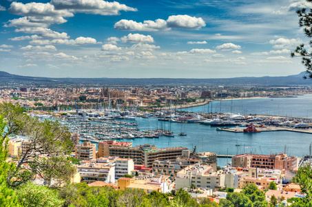 建筑 海岸 地中海 港口 海滨 旅行 风景 西班牙语 旅游业