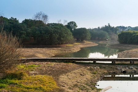 活动 步行 建筑学 领域 草地 自由 放松 周末 闲暇 场景