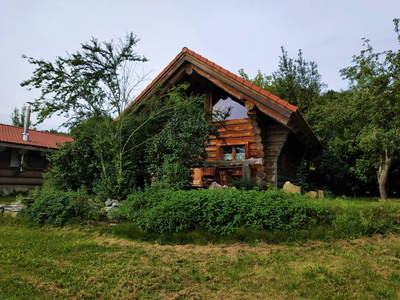 巴登 德国 木材 院子 屋顶 欧洲 小屋 被遗弃的 花园