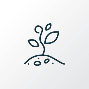 优质土壤植物生长图标线符号.优质的孤立芽元素,时尚风格.照片