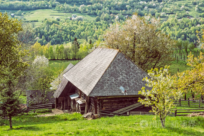 村庄 牧场 天气 斯洛伐克 季节 行走 绿色植物 欧洲 哈姆雷特