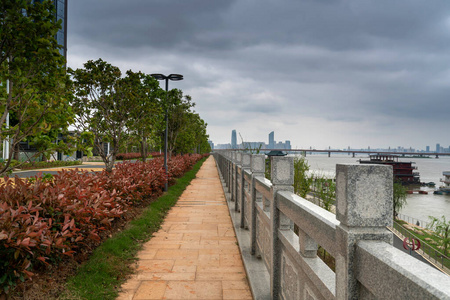 自然 路面 公园 步行 森林 地面 城市景观 树叶 走道