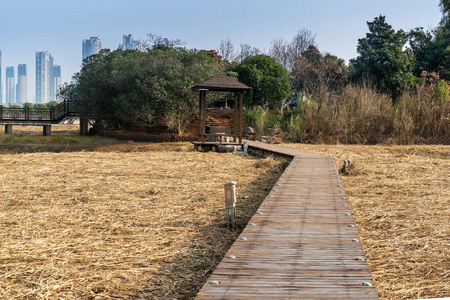 池塘 旅行 古老的 庭院 花园 寺庙 秋天 瓷器 公园 江南