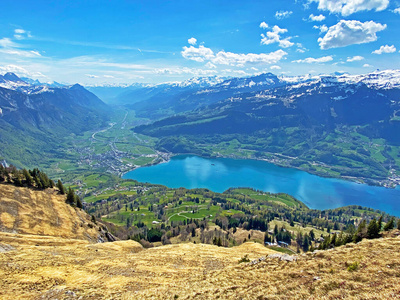 乡村 土地 森林 草地 小山 风景 环境 美丽的 牧场 领域