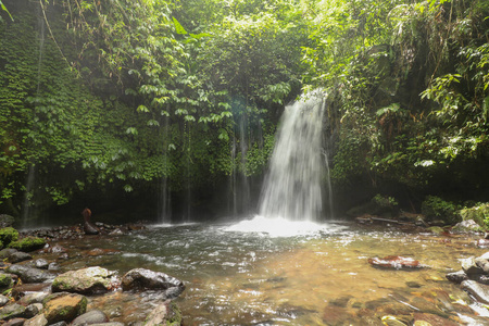 旅行 流动的 植物 木材 美丽的 旅游业 瀑布 雨林 丛林