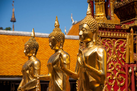 佛教徒 佛教 旅游业 文化 亚洲 宗教 瓦特 崇拜 寺庙