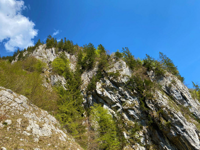 旅游业 悬崖 石头 徒步旅行 攀登 旅行 阿尔卑斯山 目的地