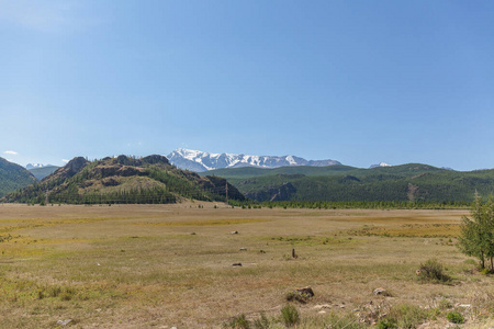 自然 森林 旅行 天空 山谷 西伯利亚 徒步旅行 阿森 全景图