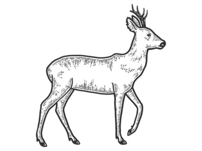 模仿游戏图片-模仿游戏素材-模仿游戏插画-摄图新视界