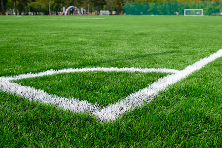 草地 外部 平台 竞争 空的 边境 领域 足球 要素 草皮