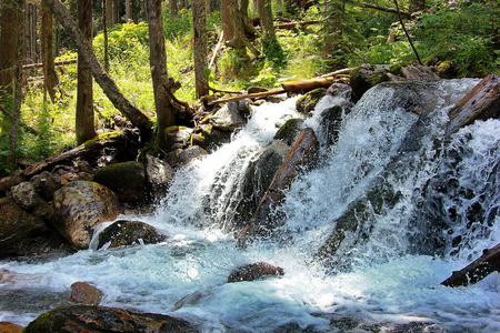 流动的 自然 美丽的 运动 夏天 公园 森林 岩石 风景