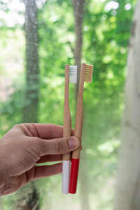 树叶 健康 个人的 生态 材料 牙齿 牙科 特写镜头 竹子