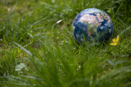 地球仪上草背景图片