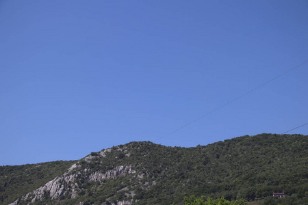 美丽的 夏天 森林 全景图 旅游业 草地 山谷 领域 自然