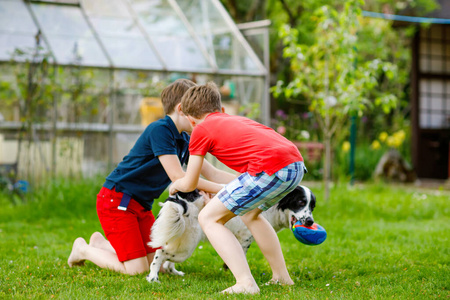 两个男孩在花园里和家里的狗玩耍。欢笑的孩子，可爱的兄弟姐妹玩狗，跑步和玩球。户外快乐家庭。动物与儿童的友谊