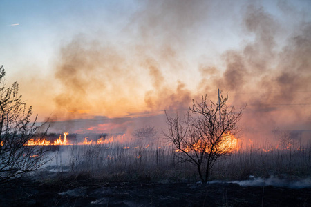 burns dry grass in sky smoke. 