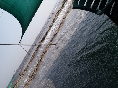 放松 海岸线 夏天 落下 波动 天气 目的地 冲浪 自然