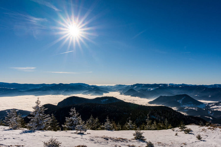 鞑靼人 风景 高的 阿尔卑斯山 寒冷的 全景 森林 斯洛伐克