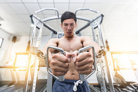 成人 锻炼 肖像 运动员 肌肉 训练 健美 适合 白种人