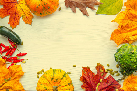 枫树 复制空间 十一月 假日 季节 颜色 框架 十月 树叶