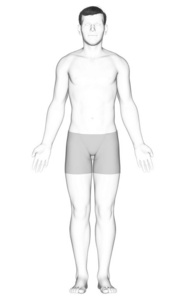 生理学 三维渲染 简单的 科学 男人 插图 人类 健康 解剖
