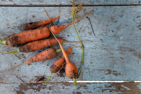 维生素 饮食 胡萝卜 纹理 颜色 植物 美味的 营养 节食