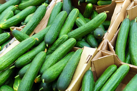 黄瓜 营养物 营养 节食 颜色 健康 蔬菜 自然 植物 沙拉