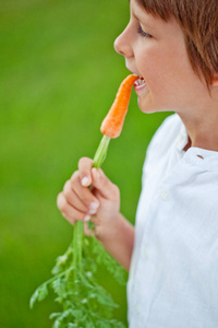 Child with vegetables on the nature. 