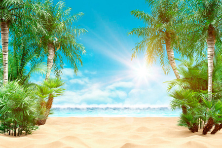 旅游业 海洋 天空 很完美 棕榈 旅行 放松 天堂 绿松石
