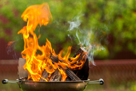 温暖 自然 冬天 壁炉 木柴 木炭 烧烤 木材 热的 点燃