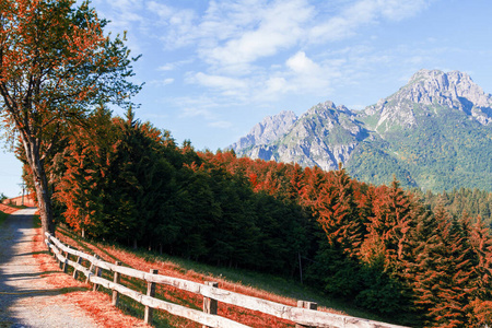 Alpine landscape in autumn, colorful nature and forest 