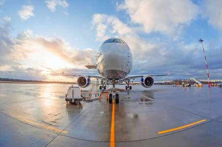 行业 机身 乘客 航空 喷气式飞机 机械 终端 航空公司