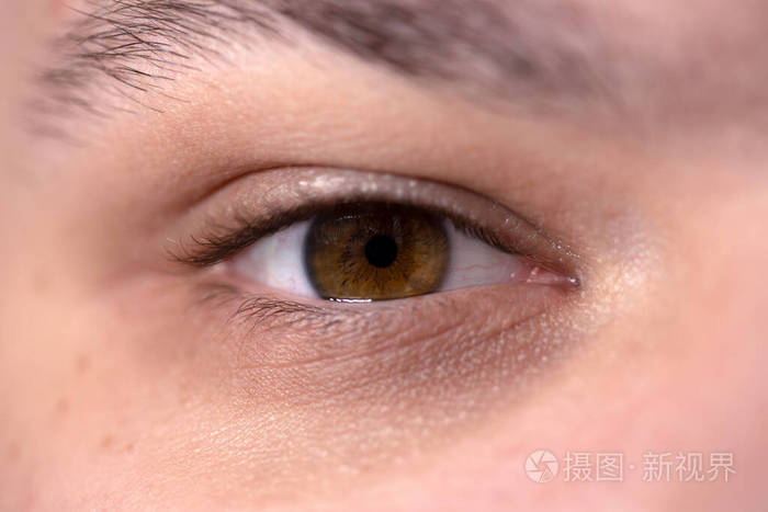 视力 面对 解剖 眼球 清晰 男人 学生 视野 睫毛 美女