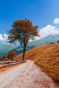 Alpine landscape in autumn, colorful nature and forest 