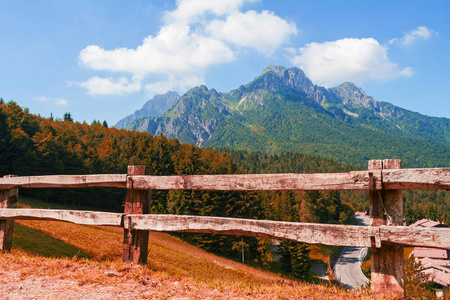 Alpine landscape in autumn, colorful nature and forest 