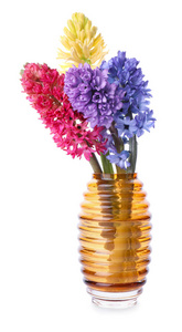 花瓶 植物区系 花束 假日 礼物 风信子 美女 颜色 花的