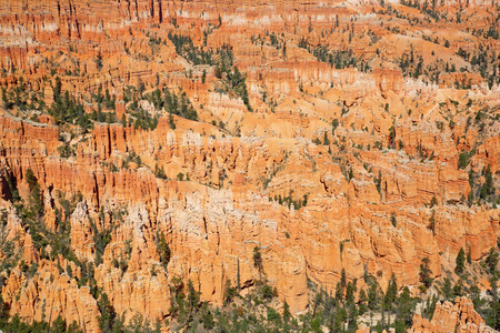 日出 犹他州 落下 地质学 荒野 公园 旅行 联合 自然
