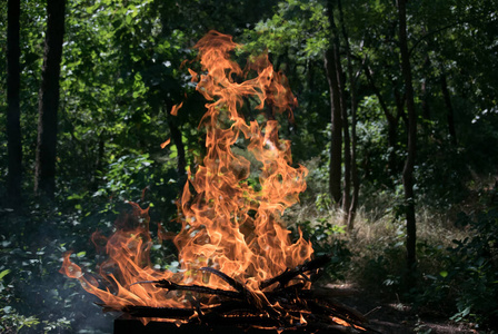灰烬 能量 烧烤 自然 野餐 食物 发光 烤架 外部 火焰