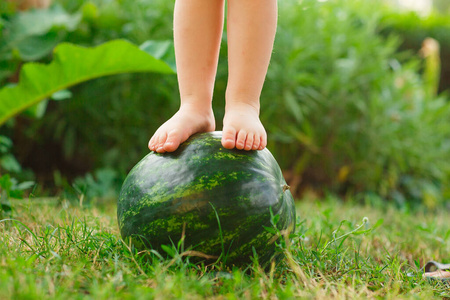 西瓜的房子光着脚的小宝宝站在草坪上的西瓜上照片