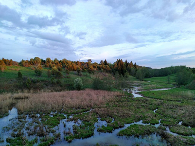 天空 风景 美丽的 美女 春天 旅行 沼泽地 小山 森林