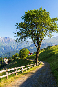 高山全景，晴天