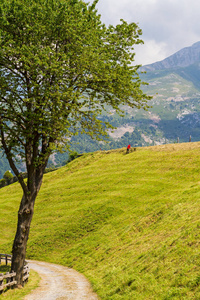 高山全景，晴天