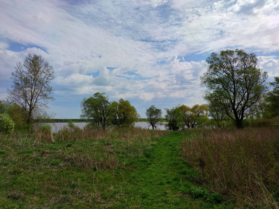 春天 夏天 植物 天空 风景 森林 公园 太阳 环境 季节