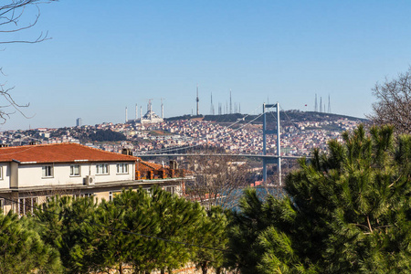 伊斯坦布尔 屋顶 风景 行业 全景图 建筑 地标 博斯普鲁斯海峡